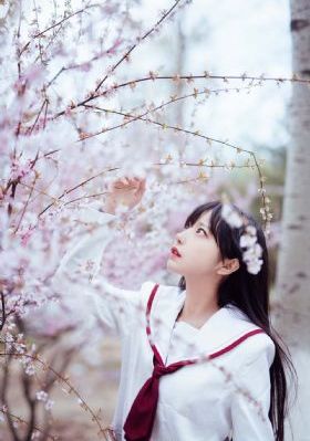 我的大佬第3季免费播放_HD视频大全